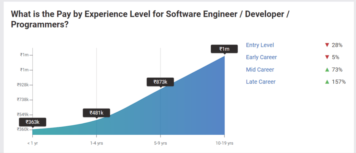 Software-Engineer-Developer-Experiance